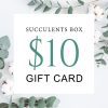 buy gift card online, black friday gift deals gift cards, buy gift card near me, best buy gift card, buy gift card discount, christmas gift card ideas, succulent gift card for any occasion, succulents for thanksgiving decor