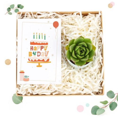 birthday gift box, succulent birthday gift, succulent gift box for anniversary, gift ideas for birthday, EcoFriendly Succulent Gift Box for Employee, Corporate Gift Succulents For Sale Online