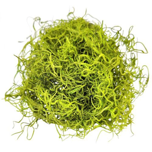 Preserved Spanish Moss Floral Moss for sale, Garden Accessories, Miniature Garden Landscaping, DIY Terrarium Supplies, Art Wall Decor, Florist Decor, Easter Table Decor, Terrariums, Wedding decor