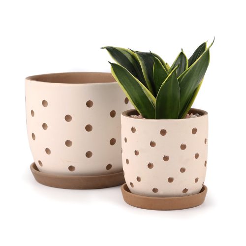 Decorative Carved Pattern Clay Pot with Drainage Hole and Saucer for Sale, Terra cotta succulent pot for sale, Clay Pot Polka Dot Design for Home Decor Ideas