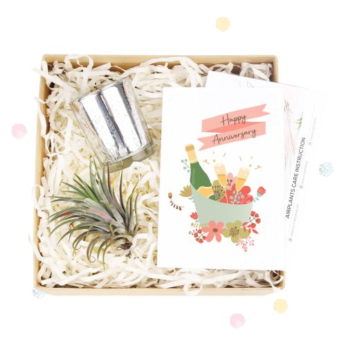 happy anniversary gift box, happy anniversary gift box for sale, happy anniversary gift idea, airplant gift box, succulent gift box for happy anniversary