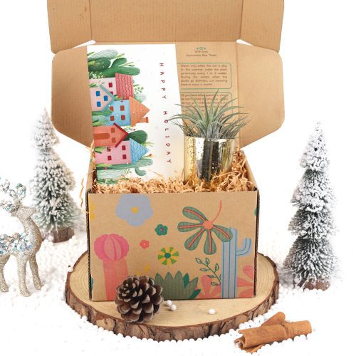 EcoFriendly Succulent Gift Box for Employee, Succulents and cactus make awesome wedding favors, Succulent gifts are a great choice for any wedding