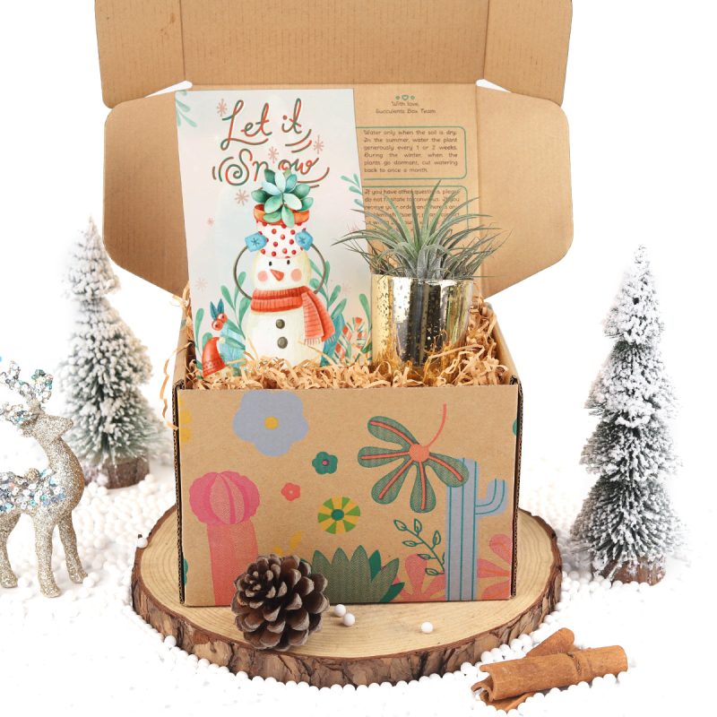 EcoFriendly Succulent Gift Box for Employee, Succulents and cactus make awesome wedding favors, Succulent gifts are a great choice for any wedding, DIY wedding succulent centerpieces