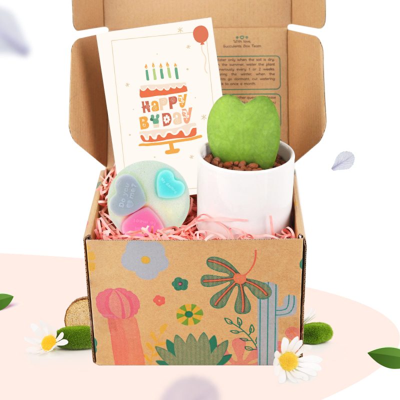 Buy Live Plant Gift Set online, Houseplant Gift Box Delivery, Gifts for Plant Lovers, Unique houseplant gift box with Heart soap