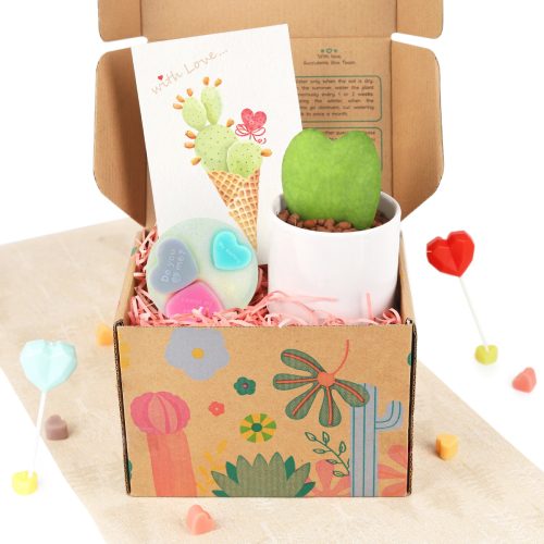 gift box, gift box with houseplant, cute gift box, gift box for valentine's day, gift box for her