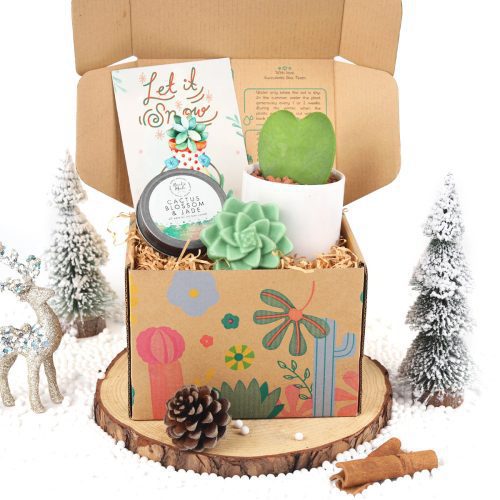 small gift box, surprise gift box, sympathy gift box, housewarming gift box, gift box ideas for her, gift box near me, holiday gift box