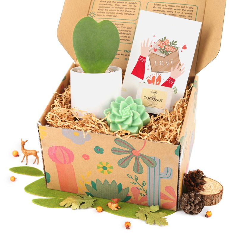 The Gift Box includes 1 Houseplant, 1 Rosette Succulent Soap and 1 Soy Candle, Unique Gift Ideas for Women