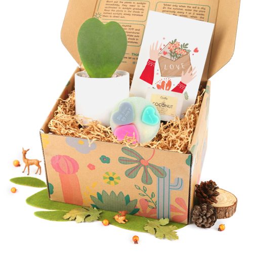 Gift Box includes 1 Potted Houseplant 1 Soy Candle and 1 Heart Glitter Soap, Best Women Gift for Valentine's Day, Houseplant Gift Box for Any Occasion