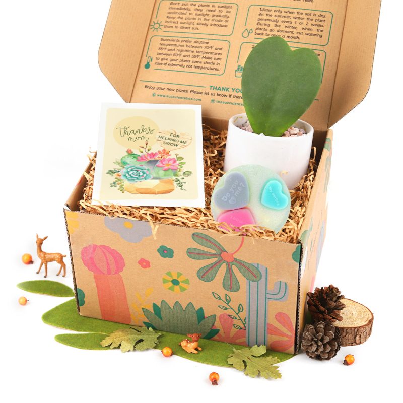 Gift Box 1 Houseplant and 1 Heart Glitter Soap, Perfect Gift for Women, Where to Buy Succulent Gift Box with Greeting Card