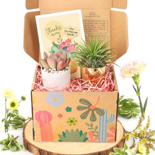 Thanks mom for helping me grow card, Mother's day greeting card for sale, Succulent greeting card for Mother's day, Unique gifts for plant lovers