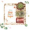 Succulent Thank You Gift Ideas, Thank you gift for your staff, Customizable Gift Boxes for employees and clients, Office gift for employees, Employee appreciation day 2023 ideas, Succulent Plants for Clients & Employees for sale