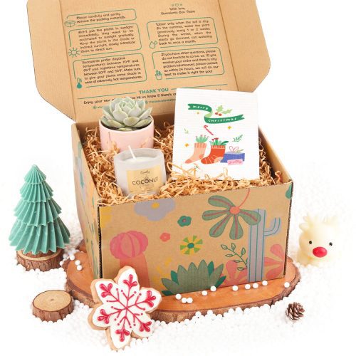 inexpensive neighbor christmas gifts, cheap cute christmas gifts for coworkers, 2024 best christmas gifts, 2024 best christmas gifts for kids, 2024 gift ideas, unique gift ideas for someone special