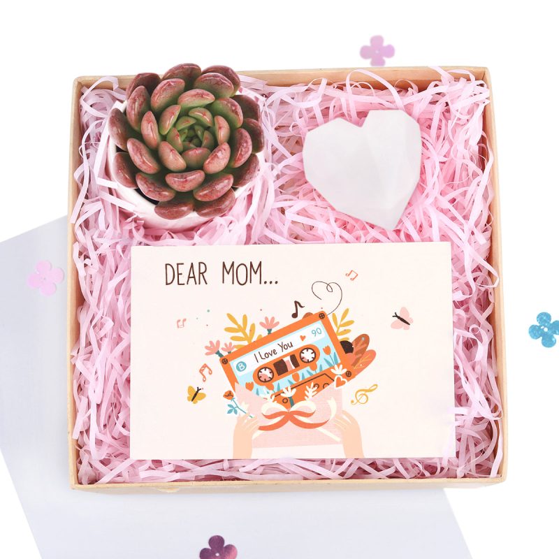 Mother's Day Gift Box, Gift Ideas for Mother's Day, Gift for Mom, Gift Ideas for Mother's Day 2023, Plant Gift Box, Gift Box with Greeting Card, Heart-Shaped Soap as Gift, lovely gift box for mom's speical day, succulent gift box