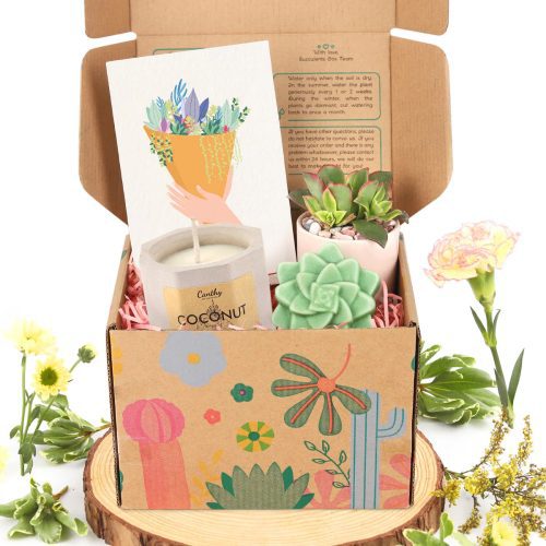 succulents gift box, gift box with candle and soap, gift ideas 2024