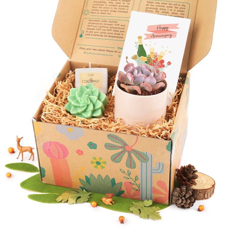 Unique Gift Box includes 1 Potted Succulent, 1 Rosette Succulent Soap and 1 Soy Candle, Succulent Gift Set with Greeting Card, Gift Ideas for Women