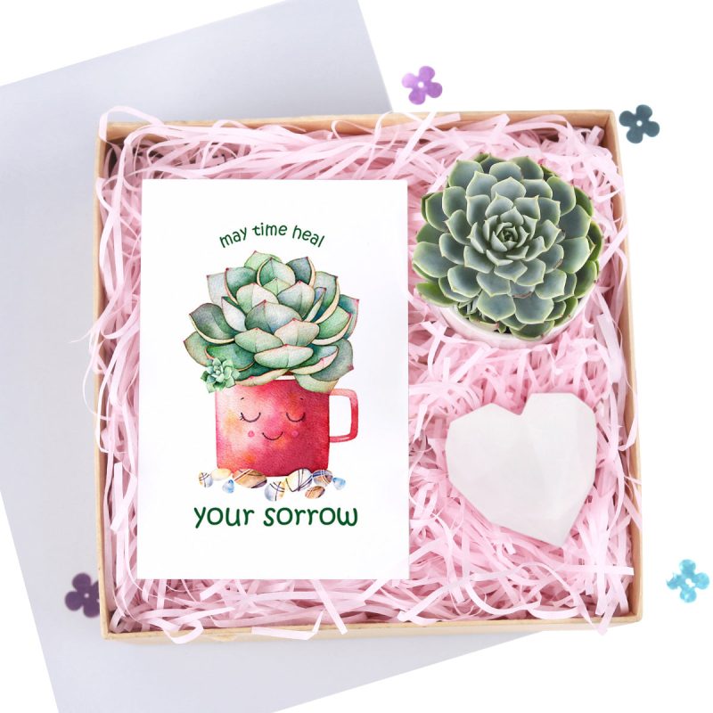 succulent gift box, heart-shapped soap as gift, rosette succulent gift box, lovely gift box, gift box with greeting card, healing gift box, surprise gift box