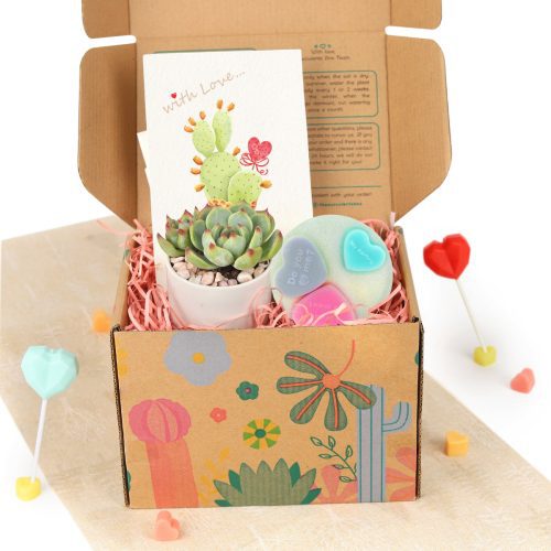 gift box, gift box with succulent, gift box with heart soap, gift box for valentine's day, gift box ideas, gift box for her, gift box for women