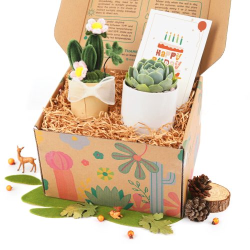 succulent gifts for coworkers, succulent gifts for wedding, succulents to ship as gifts