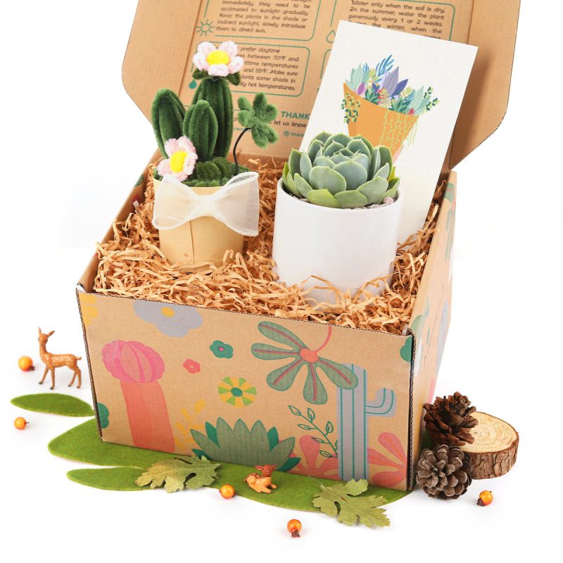 succulent gifts for coworkers, succulent gifts for wedding, succulents to ship as gifts