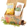 Warmest Wishes Succulent Gift Box includes 1 Potted Succulent and 1 Box of Lemon Ginger Tea, a Unique Succulent Gift Box for Holiday