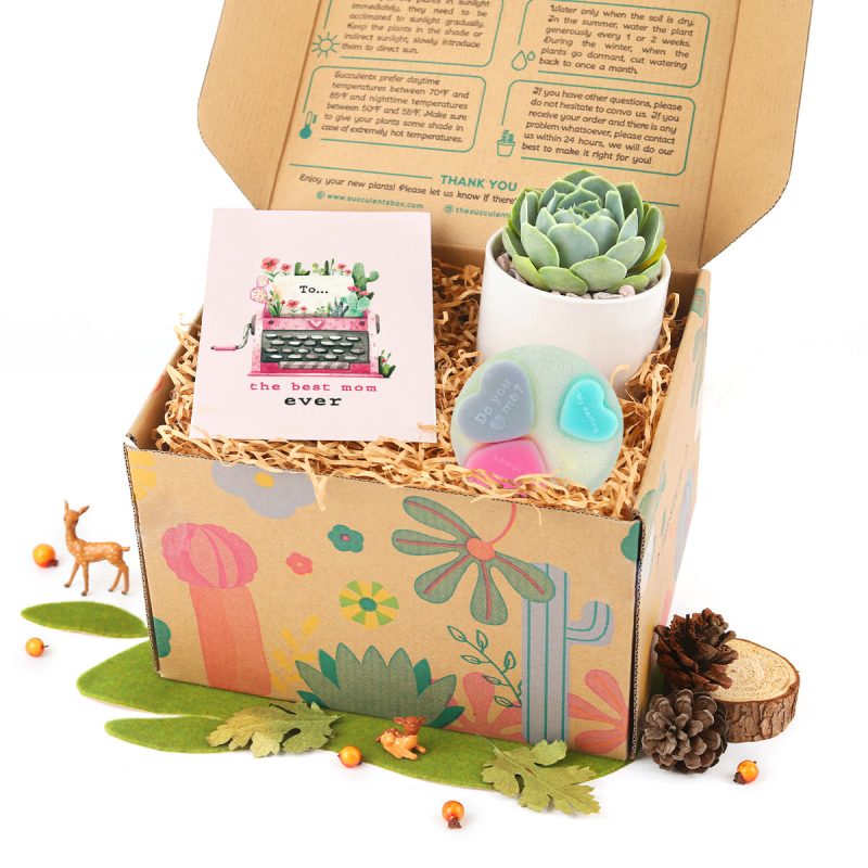 Gift Box includes 1 Potted Succulent and 1 Heart Glitter Soap, Unique Succulent Gift Box for Women, Best Place to buy Plant Gift Box at Any Occasion