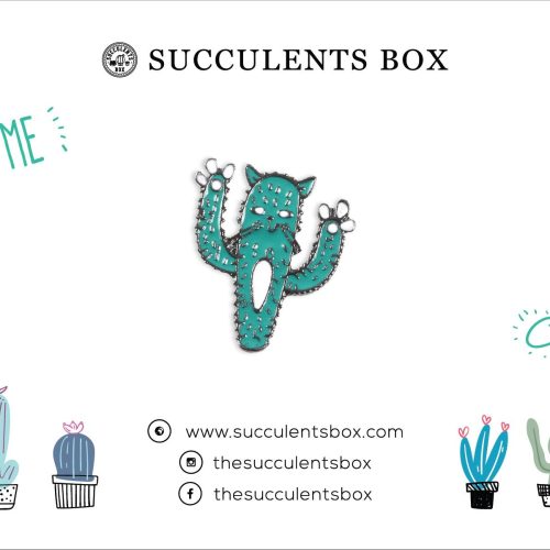 Cactus Cat Enamel Pin for sale, cat brooch for sale, cat cactus lovers, cactus gift box, succulents gift ideas, Gifts for cat lovers, Gifts for plant lovers, cactus, cactus succulent, succulent cactus, cacti, cactus and succulents, succulents box, succulent shop, buy succulents online