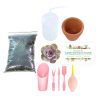 Succulent Beginner Kit for sale, Succulent Plant Starter Kit for sale, Succulent Gift for Beginners, Succulents Gift Ideas