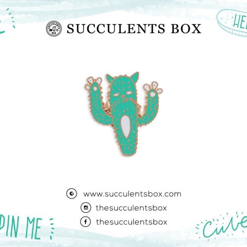 Cactus Cat Enamel Pin for sale, cat brooch for sale, cat cactus lovers, cactus gift box, succulents gift ideas, Gifts for cat lovers, Gifts for plant lovers, cactus, cactus succulent, succulent cactus, cacti, cactus and succulents, succulents box, succulent shop, buy succulents online