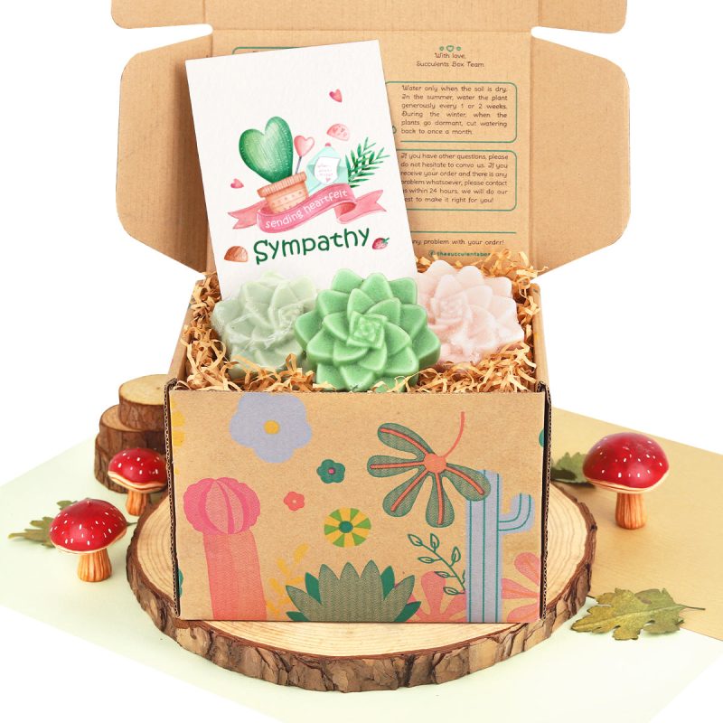 gift box for succulent lovers, organic natural gift box, succulent soap gift box, succulent them gift ideas, rosette soap, organic soap gift box, greeting cards, birthday gift ideas