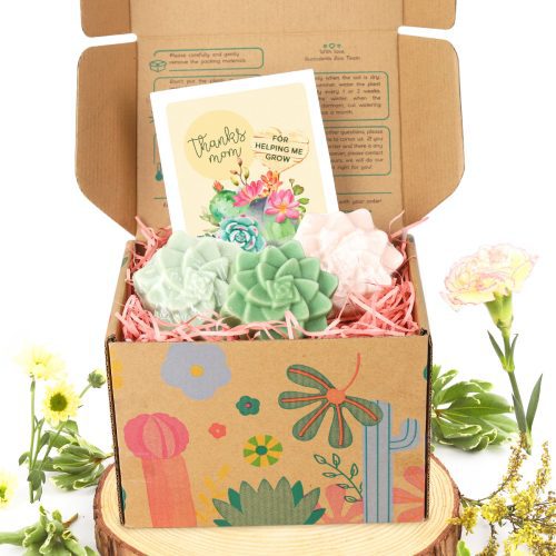 Buy gift box for Mother's Day, Unique gift ideas for your Mom, Rosette succulent soap gift for sale