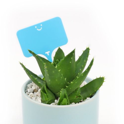 plant labels, plant tags, succulent tags, rectangle plant tag with a smiley face, smiley face gardening accessories, blue plastic plant labels