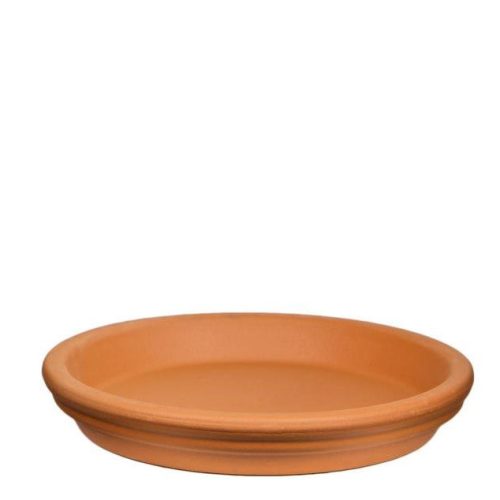 4 saucer 67fd6dd1 a921 47c4 a3f5 04b8d0fb18d7