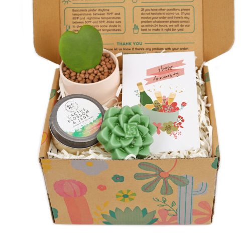 happy anniversary gift box, happy anniversary gift box for sale, happy anniversary gift idea, airplant gift box, succulent gift box for happy anniversary