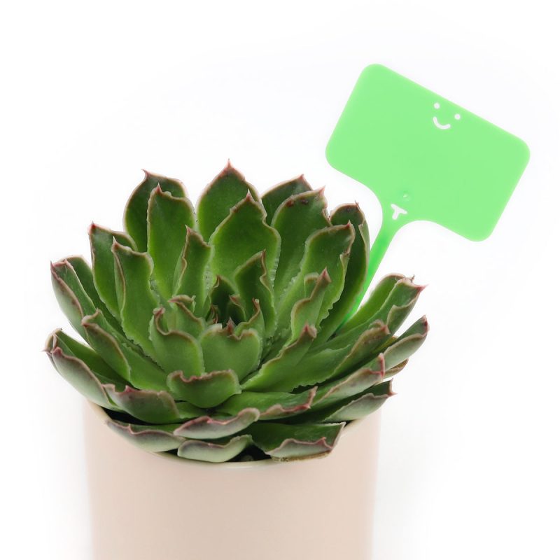 plant labels, plant tags, succulent tags, rectangle plant tag with a smiley face, smiley face gardening accessories, green plastic plant labels