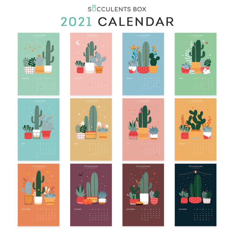 Succulent Calendar 2021, Printable Monthly Cactus and Succulents Calendar, Cute office calendar, Modern office calendar decor, 2021 Succulents Wall Calendar, Nature Themed Home, Office -Housewarming Gift