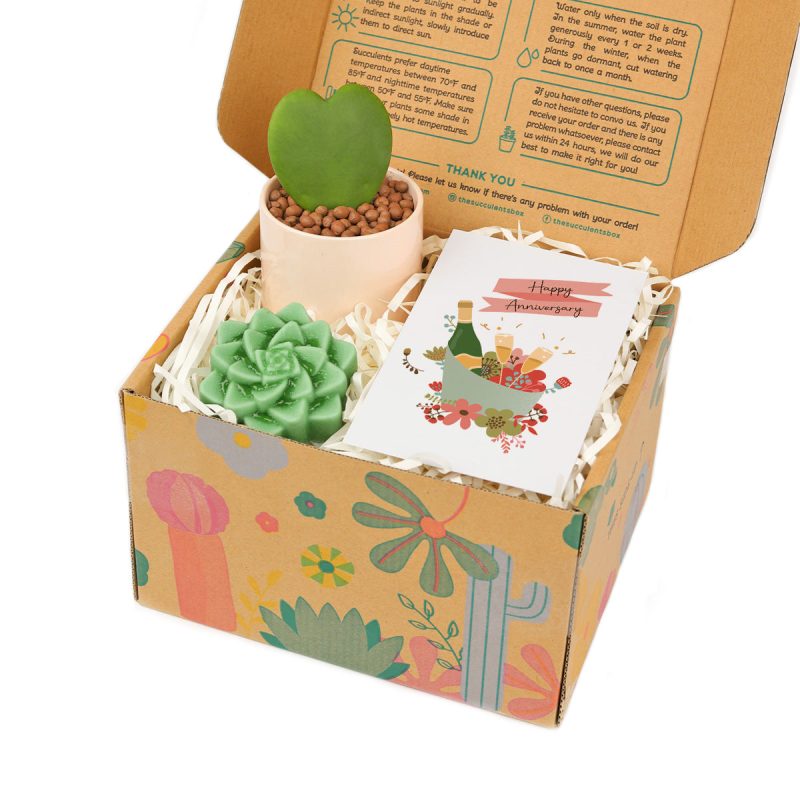 happy anniversary gift box, happy anniversary gift box for sale, happy anniversary gift idea, airplant gift box, succulent gift box for happy anniversary