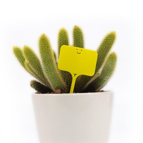 plant labels, plant tags, succulent tags, rectangle plant tag with a smiley face, smiley face gardening accessories, yellow plastic plant labels