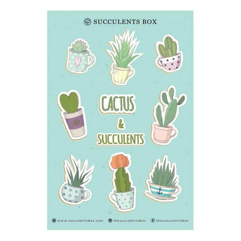 CACTUS AND SUCCULENTS STICKERS