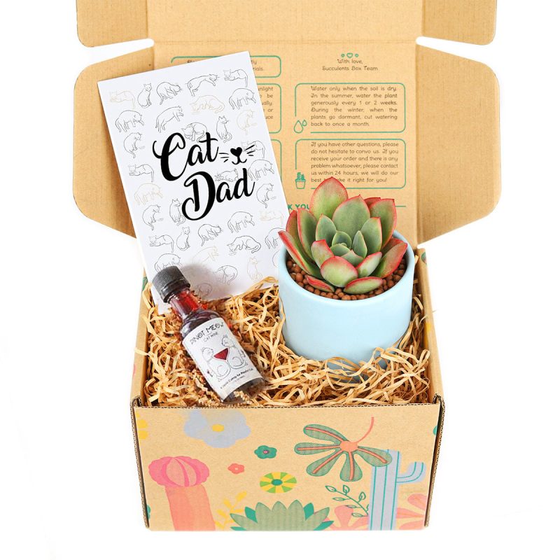 pet-friendly gift box, gift box for pets, succulents gift box, gift box for pet owners, cat wine