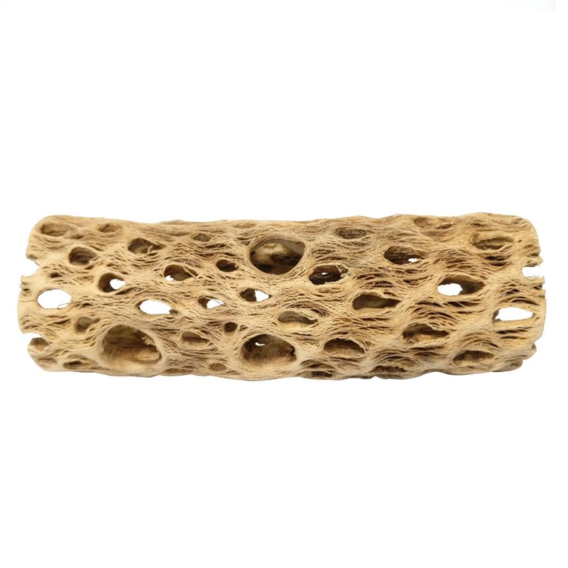 Cholla Wood 6 inch