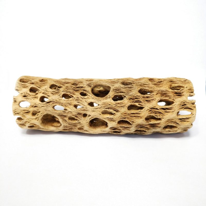 Cholla Wood 6 inch 2