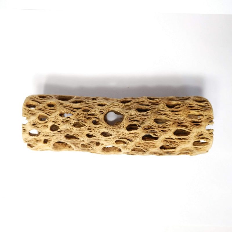 Cholla Wood 6 inch 3 1