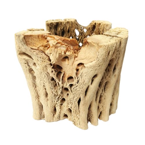 Cholla Wood Medium Cleaned 1