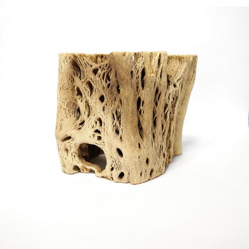 Cholla Wood Medium Cleaned 1