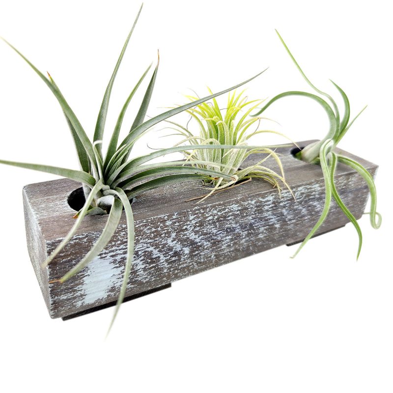 HANDCRAFTEDWOODENPLANTER