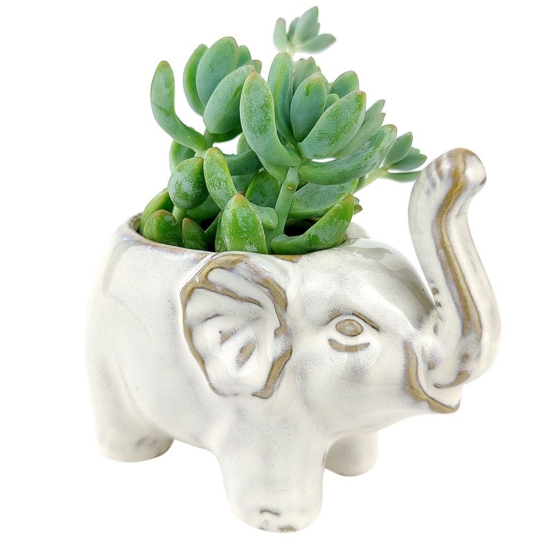 HappyElephantpot 1