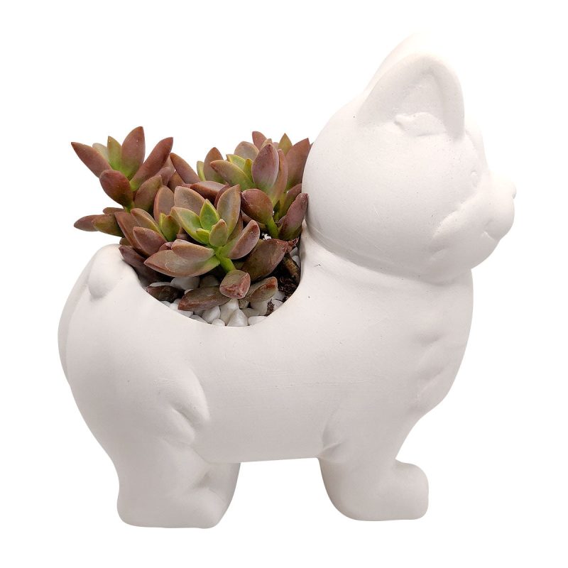 KittyPot2