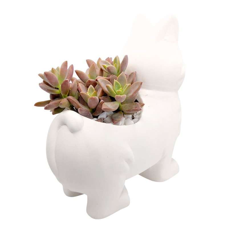 KittyPot2 1