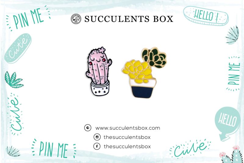 Funny Cartoon Potted Succulents Pin for sale, Cactus in a Pot Pin Badge, Succulent Gift Ideas