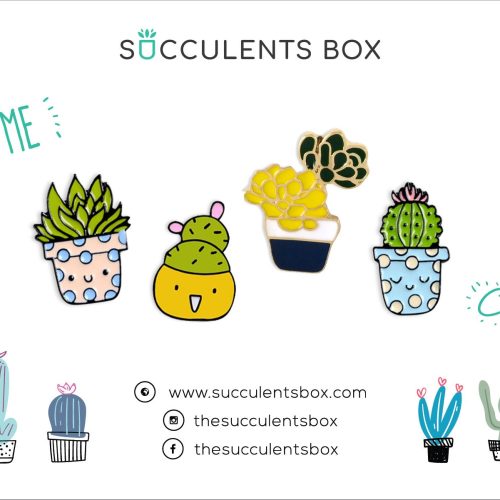 Funny Cartoon Potted Succulents Pin for sale, Cactus in a Pot Pin Badge, Succulent Gift Ideas